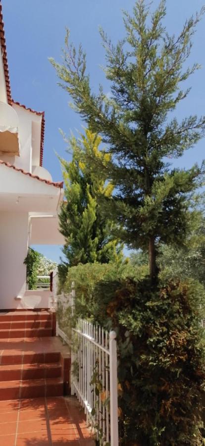 Ευχάριστη Βίλα Στη Χαλκίδα Στην Περιοχή "Αλυκές" Esterno foto